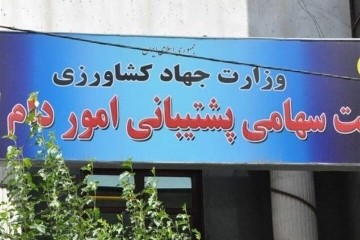 موافقت مجلس با تفحص از عملکرد شرکت سهامی پشتیبانی امور دام