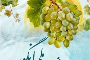 چهارمین جشنواره انگور با رویکردی متفاوت در قلب بافت تاریخی روستا برگزار می‌شود