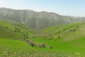 احیای ۳۰ میلیون هکتار مرتع در دستور کار منابع طبیعی است