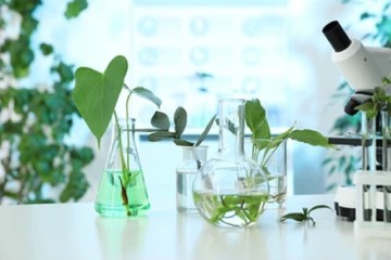توسعه پژوهش‌های کاربردی و تولید داروهای گیاهی در مرکز تحقیقات گیاهان دارویی