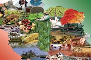 جهادگران بخش کشاورزی، سنگربانان امنیت غذایی هستند