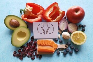 میوه‌های مفید برای سلامت کلیه را بشناسیم
