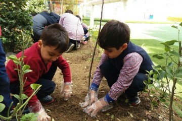 سهم ۲.۵ درصدی مهارت‌ آموزی دانش‌ آموزان در بخش کشاورزی