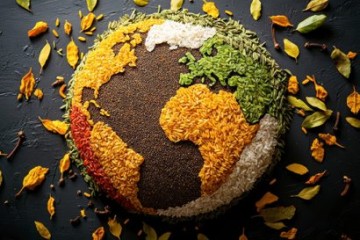 اصلاح برخی مقررات بخش کشاورزی به تقویت امنیت غذایی کمک می‌کند