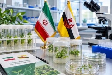 بیوتکنولوژی؛ اولویت نخست همکاری کشاورزی ایران و برونئی