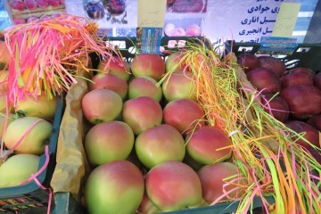 توسعه درجه‌بندی و بسته‌بندی، لازمه اقتصادی‌تر شدن تولید سیب میانه