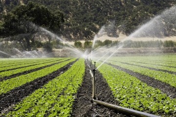 حرکت گرمساری‌ها به سمت کشاورزی کم آب‌بر