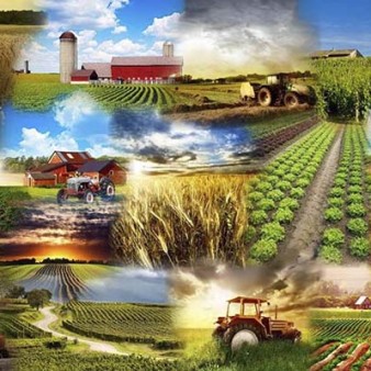 سامانه ثبت نام متقاضیان کشاورزی فراسرزمینی معرفی شد