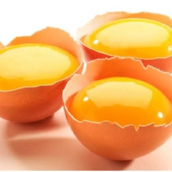 تولید تخم‌مرغ‌های حاوی اسیدفولیک با قابلیت جذب ۹۵ درصدی در بدن