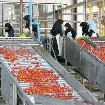 بهره‌برداری از ۳۸ واحد صنایع تبدیلی کشاورزی استان مرکزی در دولت سیزدهم