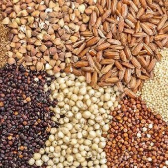 عدم تخصیص ارز به نهاده‌های دامی از ۸ ماه گذشت
