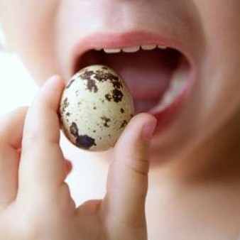 ۱۰ خاصیت فوق العاده تخم بلدرچین برای کودکان