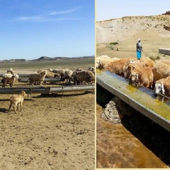 ساخت ۵۷۰ متر آبشخور بهداشتی برای دام عشایر قزوین