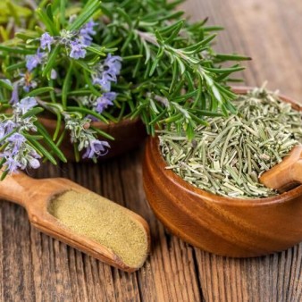 آیا رزماری واقعاً جای زخم را از بین می‌بَرَد؟