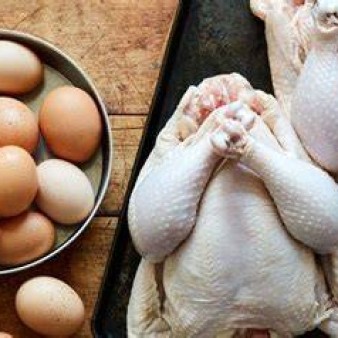 ایران در میان ده کشور برتر تولیدکننده گوشت مرغ و تخم‌مرغ جهان قرار دارد