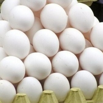 قیمت انواع تخم مرغ پوست سفید اعلام شد