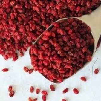 زرشک چگونه به تعادل صفرا و سلامت کبد کمک می کند؟