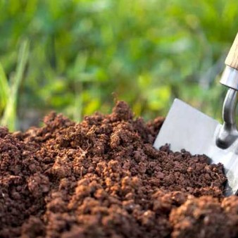 خاک ستون فقرات توسعه پایدار و امنیت غذایی است