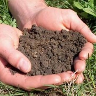 ۵۵ درصد اراضی کشاورزی ماده آلی کمتر از یک درصد دارند