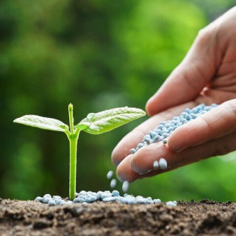 خاک سالم بنیان سامانه‌های غذایی پایدار در جهان است