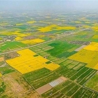 70 درصد اراضی کشاورزی سنددار شدند