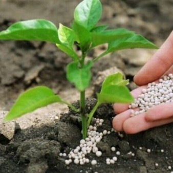 کاربرد فناوری هسته‌ای در بهینه‌سازی مصرف کود کشاورزی