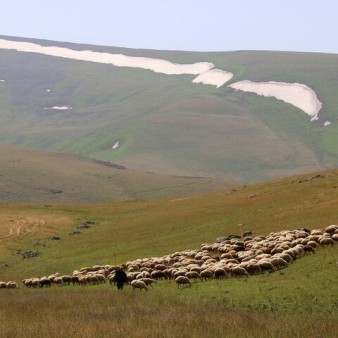 احیای یک هکتار مرتع و اضافه شدن ۲۵۰ مترمکعب به ظرفیت نفوذ آب در کشور