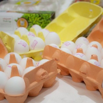 قیمت هر شانه تخم‌مرغ برای مصرف‌کننده ۳۱۰ تا ۳۲۰ هزار تومان اعلام شد