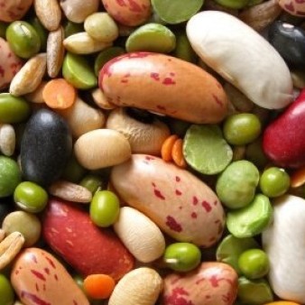 نگهداری از ۱۸۰۰ ژرم پلاسم لوبیا در مرکز تحقیقات خمین