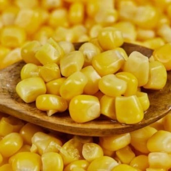 ثبت‌سفارش ذرت دامی و جو از شنبه آغاز می‌شود