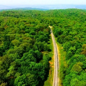 تقویت اعتبار احیای مراتع/ طرح احاله مدیریت ۱۰ ایستگاه تولید بذر مرتعی