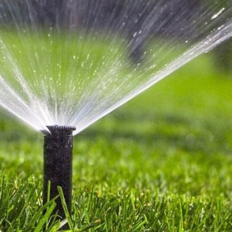 بدون فرهنگ‌سازی مصرف آب کشاورزی آینده‌ای نخواهد داشت/ بحران آب نتیجه بی‌توجهی به آموزش و برنامه‌ریزی است