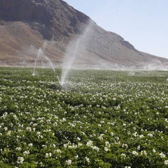 پیگیری افزایش سهم دولت در اجرای سامانه‌های نوین آبیاری برای خرده‌مالکان