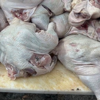 معدوم‌سازی چهارتن انواع مرغ طعم‌دار تاریخ‌ گذشته در قم