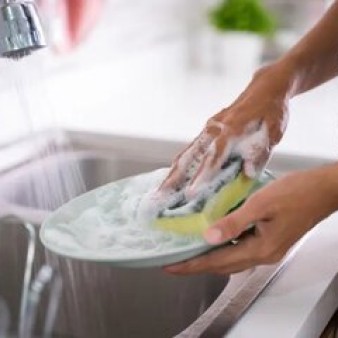 خطری که بوی بد ندارد / مزرعه‌ پنهان پرورش باکتری در خانه