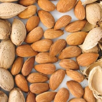 بادام؛ خوراکی محبوب با ارزش تغذیه‌ای بالا و اهمیت کشاورزی