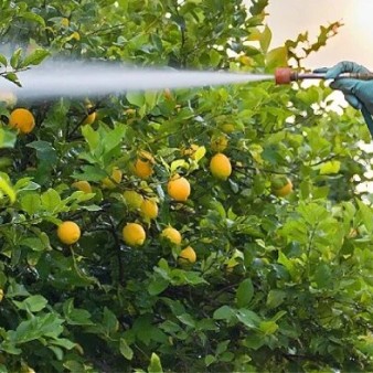 استانداردهای جدید برای کاهش نگرانی درباره سموم غذایی