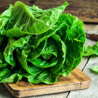 شستشوی کاهو با سرکه و نمک یا جوش شیرین؟