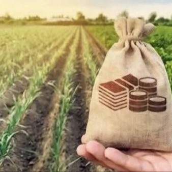 سایه قبض ۴۰۰ میلیونی بر سر کشاورزان/ مشکل برق چاه‌ها ریشه‌ای حل شود