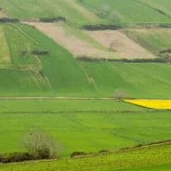 طراحی سامانه آبیاری زیرسطحی هوشمند با سازوکار ضد گرفتگی و پایش خودکار