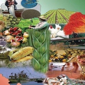 جهادگران بخش کشاورزی، سنگربانان امنیت غذایی هستند