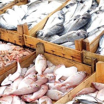 بازار روسیه ظرفیت مناسبی برای توسعه صادرات شیلات ایران است