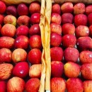 واردات سیب ایران برای تنظیم بازار ۱.۴میلیاردنفری هند