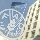 حضور ایران در کنفرانس بین‌المللی فائو با هدف اصلاح سیستم‌های غذایی منطقه‌ای
