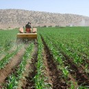 وضعیت بهره‌مندی برخی استان‌ها از ماشین‌آلات کشاورزی نامطلوب است