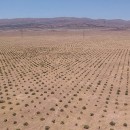 همکاری ایران و سازمان ملل در راستای تمرکز بر بیابان‌زدایی