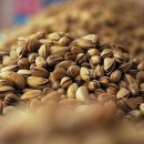 رویداد گردشگری پسته در زاهدان برگزار می‌شود