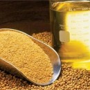 آغاز ثبت سفارش جدید واردات روغن خام از امروز 22 شهریور
