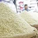قیمت برنج در آسیا به پایین‌ترین سطح یک دهه گذشته رسید