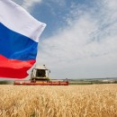 درآمد مسکو از کشاورزی بیشتر از فروش تسلیحات است